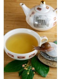 té verde puro japones