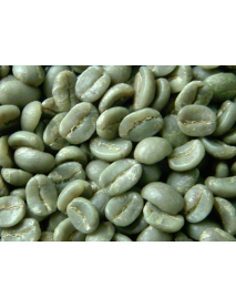 café verde brasil santos