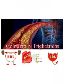 colesterol y triglicéridos