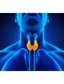 remedio natural glándula tiroides