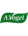 A. Vogel